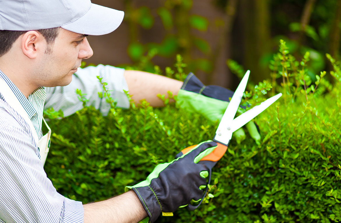 Read more about the article LANDSCAPE MAINTENANCE TO GET YOUR YARD READY FOR WINTER